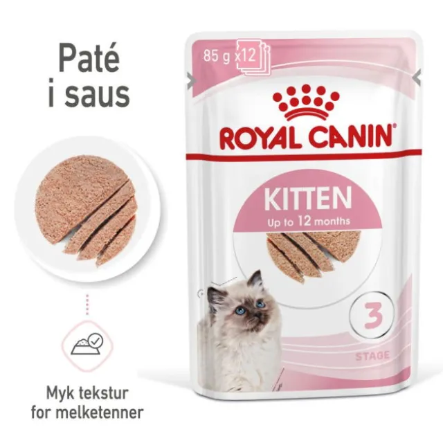 Royal Canin Kitten Patè in Gravy 12x85g