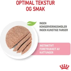 Royal Canin Kitten Patè in Gravy 12x85g
