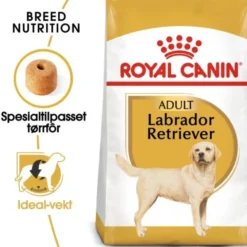Royal Canin Labrador Retriever Adult tørrfôr til hund