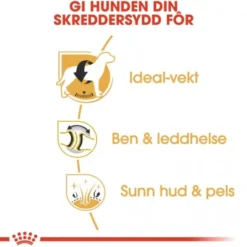 Royal Canin Labrador Retriever Adult tørrfôr til hund