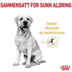 Royal Canin Labrador Retriever Adult 5+ tørrfôr til hund