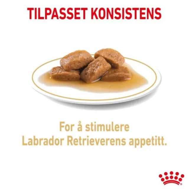 Royal Canin Labrador Retriever Adult Gravy våtfôr til hund 10x140g