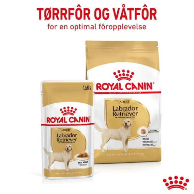 Royal Canin Labrador Retriever Adult Gravy våtfôr til hund 10x140g