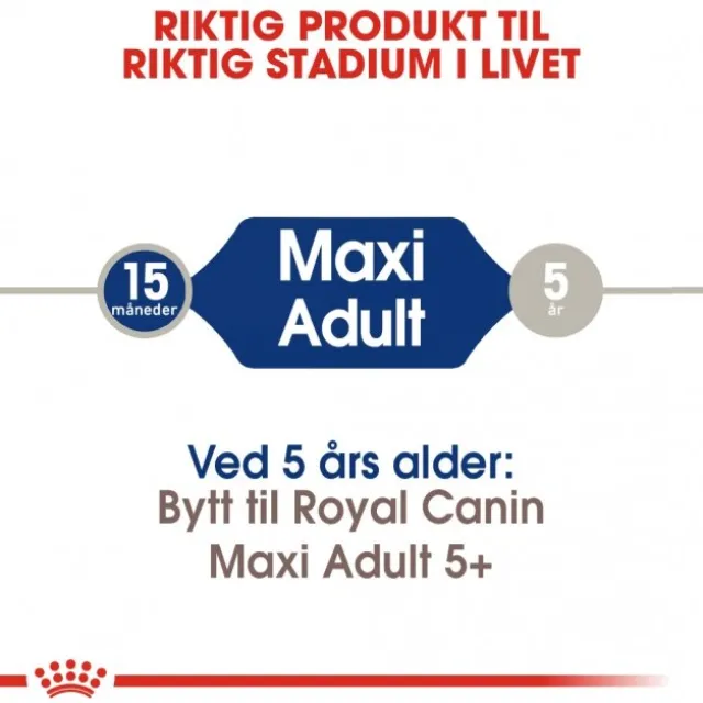 Royal Canin Maxi Adult tørrfôr til hund