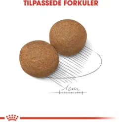 Royal Canin Maxi Adult tørrfôr til hund