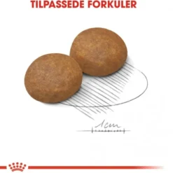 Royal Canin Maxi Adult 5+ tørrfôr til hund