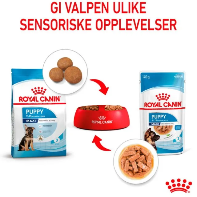 Royal Canin Maxi Puppy Gravy våtfôr til valp 10x140g