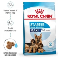 Royal Canin Maxi Starter tørrfôr til hund og valp