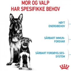 Royal Canin Maxi Starter tørrfôr til hund og valp
