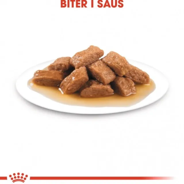Royal Canin Medium Adult Gravy våtfôr til hund 10x140 g