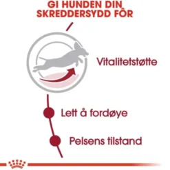 Royal Canin Medium Adult 7+ tørrfôr til hund