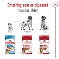 Royal Canin Medium Ageing Gravy våtfôr til hund 10x140 g