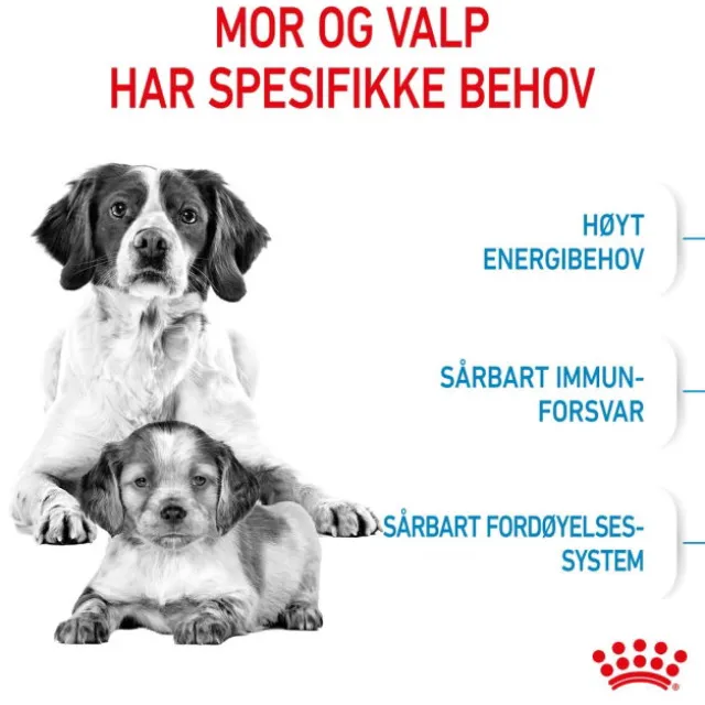 Royal Canin Medium Starter tørrfôr til hund og valp