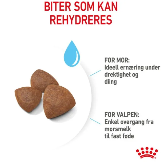 Royal Canin Medium Starter tørrfôr til hund og valp