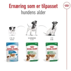 Royal Canin Mini Adult Gravy våtfôr til hund 12x85g