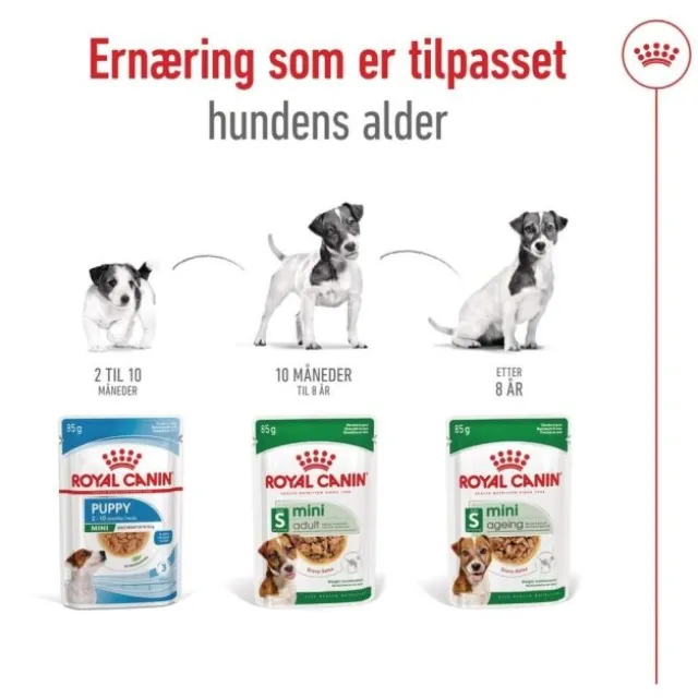 Royal Canin Mini Adult Gravy våtfôr til hund 12x85g