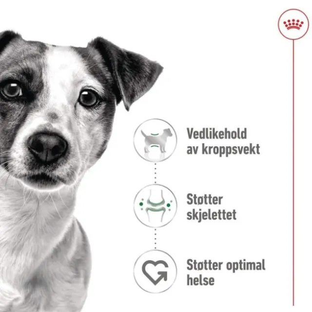 Royal Canin Mini Adult Gravy våtfôr til hund 12x85g