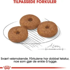 Royal Canin Mini Ageing 12+ tørrfôr til hund