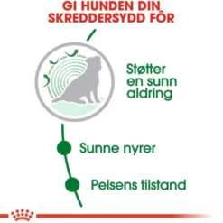 Royal Canin Mini Ageing 12+ tørrfôr til hund