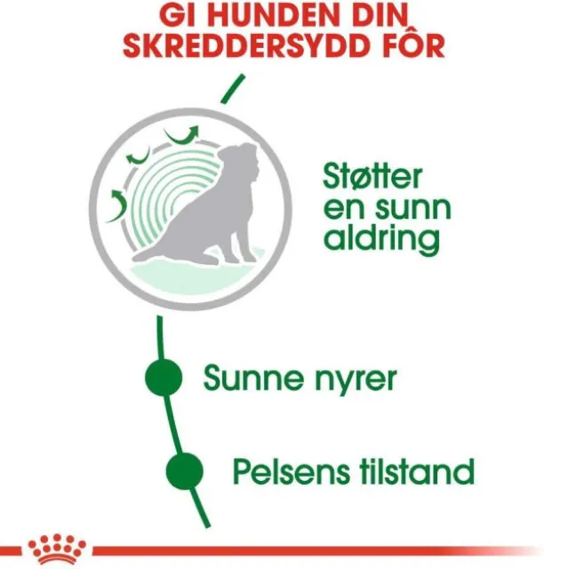 Royal Canin Mini Ageing 12+ tørrfôr til hund