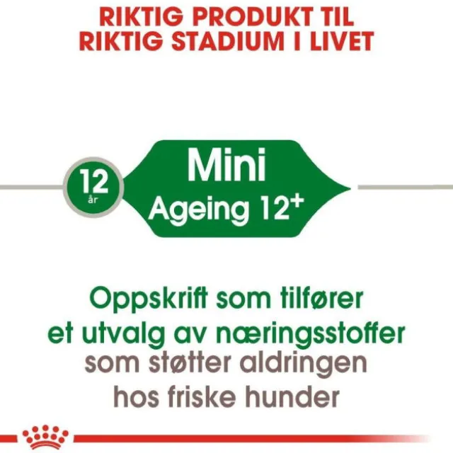 Royal Canin Mini Ageing 12+ tørrfôr til hund