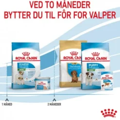 Royal Canin Mini Starter tørrfôr til hund og valp