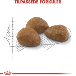 Royal Canin Outdoor 7+ Ageing tørrfôr til katt