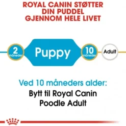 Royal Canin Poodle Puppy tørrfôr til hundvalp