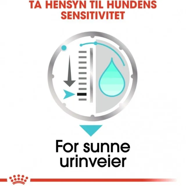 Royal Canin Urinary Care Adult Loaf våtfôr til hund 12x85 g