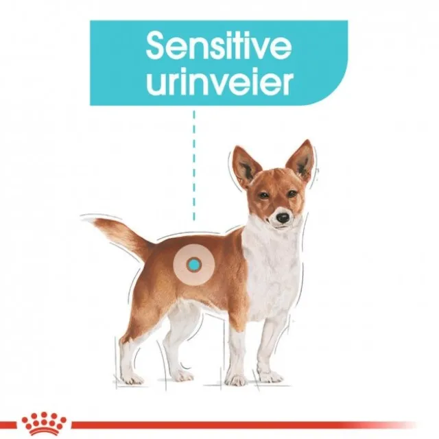 Royal Canin Urinary Care Mini Adult tørrfôr til hund