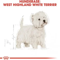 Royal Canin West Highland White Adult tørrfôr til hund