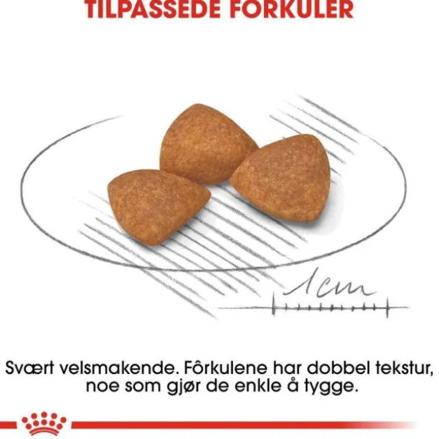 Royal Canin X-small Ageing 12+ tørrfôr til hund