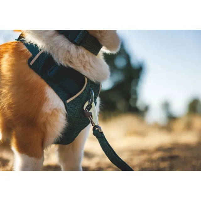 Ruffwear Front Range Flex Harness, Deep Teal