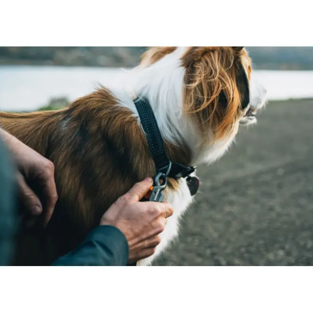 Ruffwear Ridgeline Kobbel Sort