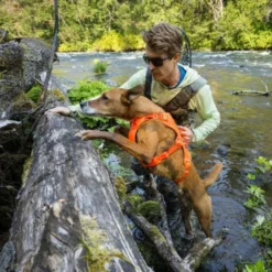 Ruffwear Web Master hundesele, Blaze Orange