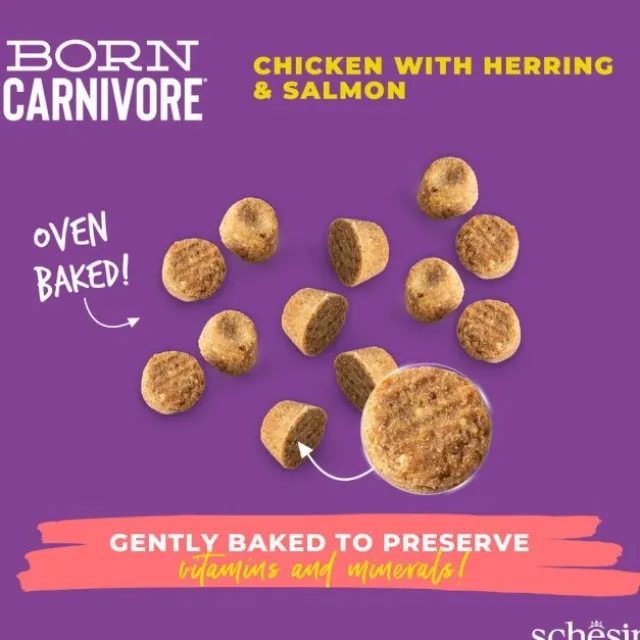 Schesir Born Carnivore Kylling og sild