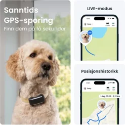 Tractive DOG 6 XL GPS Dog Collar & Health Monitor
